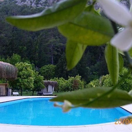 Portalimo Lodge Hotel - Adult Only +12 Çıralı Exterior foto