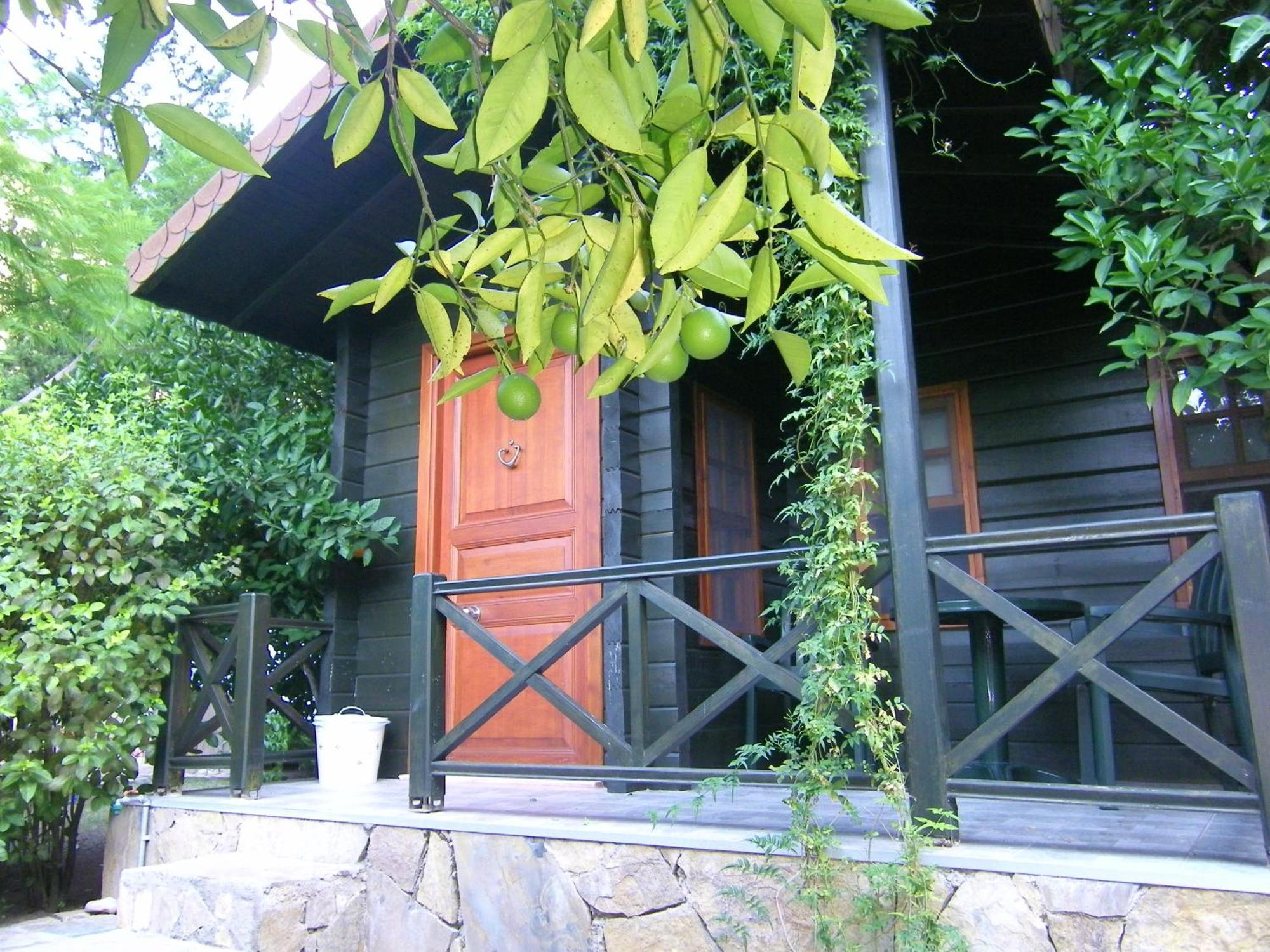 Portalimo Lodge Hotel - Adult Only +12 Çıralı Exterior foto
